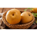 천안 성환배 7.5kg(8-12과) 제철과일 추석 명절 설날 : Endymion