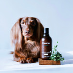 리꼬르소 천연 강아지 샴푸 에얼리 안티탱글링 300ml+포레스티 모이스쳐라이징 300ml : 리꼬르소