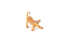 파포 장난치는 아기사자 피규어 : 오투랩