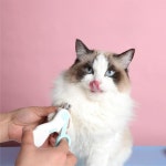 잘보이는 고양이 조명 발톱깍기 깍이 커터 LED 라이트 반려동물 강아지 손톱깍이 : 하이트리mil