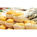 천안 성환배 7.5kg(8-12과) 제철과일 추석 명절 설날 : Endymion