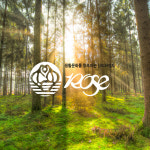 장미화장지 점보롤 150m 물에 잘녹는 무형광 업소용 사무실 공중화장실 화장지 : 장미화장지