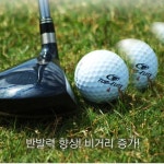 골프채클리너 골프채세척 드라이버 우드 퍼터 아이언 광택 : 손주몰