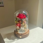 [70%down][12컬러] 프리저브드플라워 시들지않는생화 특별한꽃선물  LED유리돔 : OHANA FLOWER