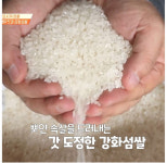 다해농산 쌀 2025년 햅쌀 백미 강화교동섬쌀10KG : 다해농산
