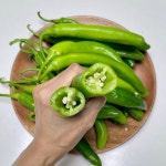 친환경 산지직송 안매운 무농약 미인고추 아삭이고추 친환경 풋고추 : 윤홍시상회