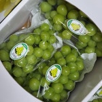 [산지직송] 프리미엄 옥구슬 샤인머스켓 고당도 3kg : 리코프루토