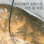 생새우 활새우 왕새우 흰다리새우 1kg 바이오플락 생 새우 회 소금구이 : 씽씽농수산