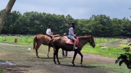 제주도 쏠라티 미니버스 대절 관광 기사포함 한정특가 / 금연 차량 : 제주투어팸