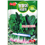 땅딸이 시금치 20g : 중앙종묘농약사