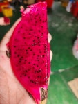 제주 강자매농장 용과 레드용과 드래곤후르츠 적용과 DRAGONFRUIT : 밭슐랭