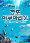 경포 아쿠아리움 / 강릉 경포대 어린이 청소년 실내 수족관 체험 양양 가볼만한곳 : 온오프믹스