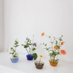 꽃꽂이 듀라렉스 수반 : 플로리쉬 FLOURISH