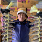 진심 영광굴비 20미 세트 : 갑을농수산