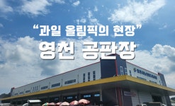 영천 특산물 고당도 망고포도 제철과일 프리미엄 샤인머스켓 2kg : 스타과일
