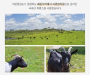 염소즙 김소형원방흑염소 김소형흑염소진액 1+1 : 뮤즈앤