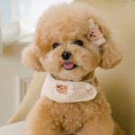 강아지벨크로하네스 강아지가슴줄 애니멀베베 펫츠앤미 : 꼴레트멍멍 스토어