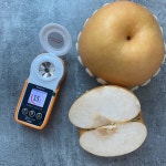 나주 햇 배 선물세트 가정용 5kg : 뉴빔