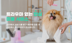 [펫vip] 애견출장방문미용-전체미용(전체클리핑)[4kg 미만 기준] : 펫VIP 스토어