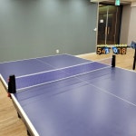 탁구네트 탁구용품 그물 짱짱한 경기용 가정용 실내 네트 초간편 휴대용 원터치 아클라 : 아클라