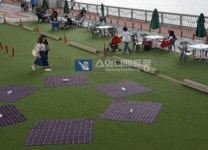친환경 인조 잔디 체육시설 축구장 조경용 화단 정원 다용도 잔디 : 로지엠제이