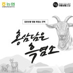 국내산100% 홍삼 담은 흑염소 진액 2100ml (70ml 30포) : 마이 프랜드