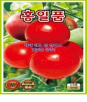 토마토씨앗 홍일품 10000립 KS종묘 5개이상 구매시 묶음 무료배송 : 씨 뿌리는 농부들