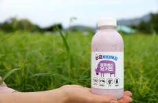구운밤 수제요거트 하대목장 1등급 원유 요거트 500ml : 신풍애농부들