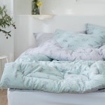 [슬립룸] 센트 알러지케어 먼지없는 사계절 차렵이불 Q 단품 : 래안어스