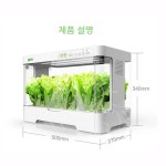 가정용 수경 재배기 상추 채소 실내 새싹 야채 키우기 led 식물 재배기 스마트 팜 허브 : 리더스894