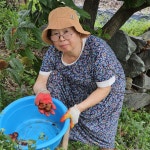 노루골농원 햇밤  깐밤 중1kg,선물 : 노루골농원
