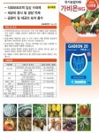 석회보르도액 가비온보르도 1kg 입제 과립형수화제 천공 오갈 무름 갈반 흰가루 화상 사과 인삼 과수 월동비료 가비온입제 : 농사의신 씨앗백화점