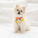 강아지 나시 누우띠 미피와친구들 슬리브리스 민소매 애견 봄 가을 옷 실내복 캐릭터 : PICKYSHOP 피키샵