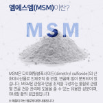관절연골엔 MSM 맥스 3통 6개월분 : 그린메디케어