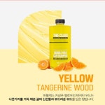 더클래스 버블맥스 카샴푸 1L 기능성 카샴푸 : 디테일링박스