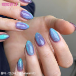 프롬더네일 딥씨 자석젤네일 : 백억언니