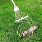 낙엽 갈퀴 잔디 갈쿠리 농장 텃밭 청소 정원 가꾸기 : 세룬