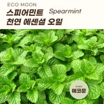 스피아민트1L 원액 100% 효능 천연 허브 아로마 에센셜 오일 : 에코문