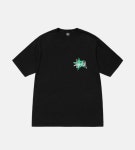 스투시 스타 티 피그먼트 다이드 반팔티 블랙 STAR TEE PIGMENT DYED : 핍스뉴욕