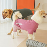 강아지 올인원 퍼피갤러리 빛반사 길이조절 M 트랙수트 츄리닝 중형 대형견 봄 가을 옷 : PICKYSHOP 피키샵