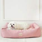 아트멍 4선울타리방석 강아지&고양이 꿀잠방석 2 Color : 끌레르펫