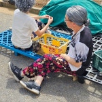 꽃무늬 여름 냉장고바지 밴딩 할머니 몸빼 고무줄 촌캉스 아이스 빅사이즈 엄마 작업복 : 오늘담음