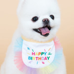 강아지 망토 케이프 도그포즈 해피버스데이 (S) : 나이스맛나