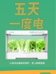가정용야채키우기 텃밭 소형 식물 채소기르기 실내용 실온 스마트팜 조립 수경 재배기 : 주어니네