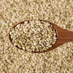 25년산 소포장 햇 찰현미2kg 구수한 누룽지향 현미찹쌀 (단일품종 설향찰) : 노은정미소