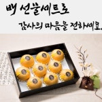 2024년 햇배 신고배 울산배 추석선물세트 7.5kg : 학성새벽시장 밀양상회