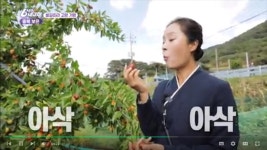 2025년 보은 건대추 고당도 농장직영 산지배송 햇대추 보은대추 1kg : 충북보은 최원준라온농장