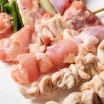 수제 모듬 닭꼬치 팽이삼겹 염통 은행 닭껍질 파닭 꼬치 캠핑음식 : 대한민국농수산