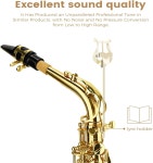 색소폰 Asmuse 알토 E 플랫 초급 풀 키트 운반용 케이스 마우스피스 스트랩 리드 스탠드 : 마사루몰