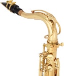 색소폰 Jean Paul 미국 중급 테너 TS-660 골든 브래스 래커 : 마사루몰